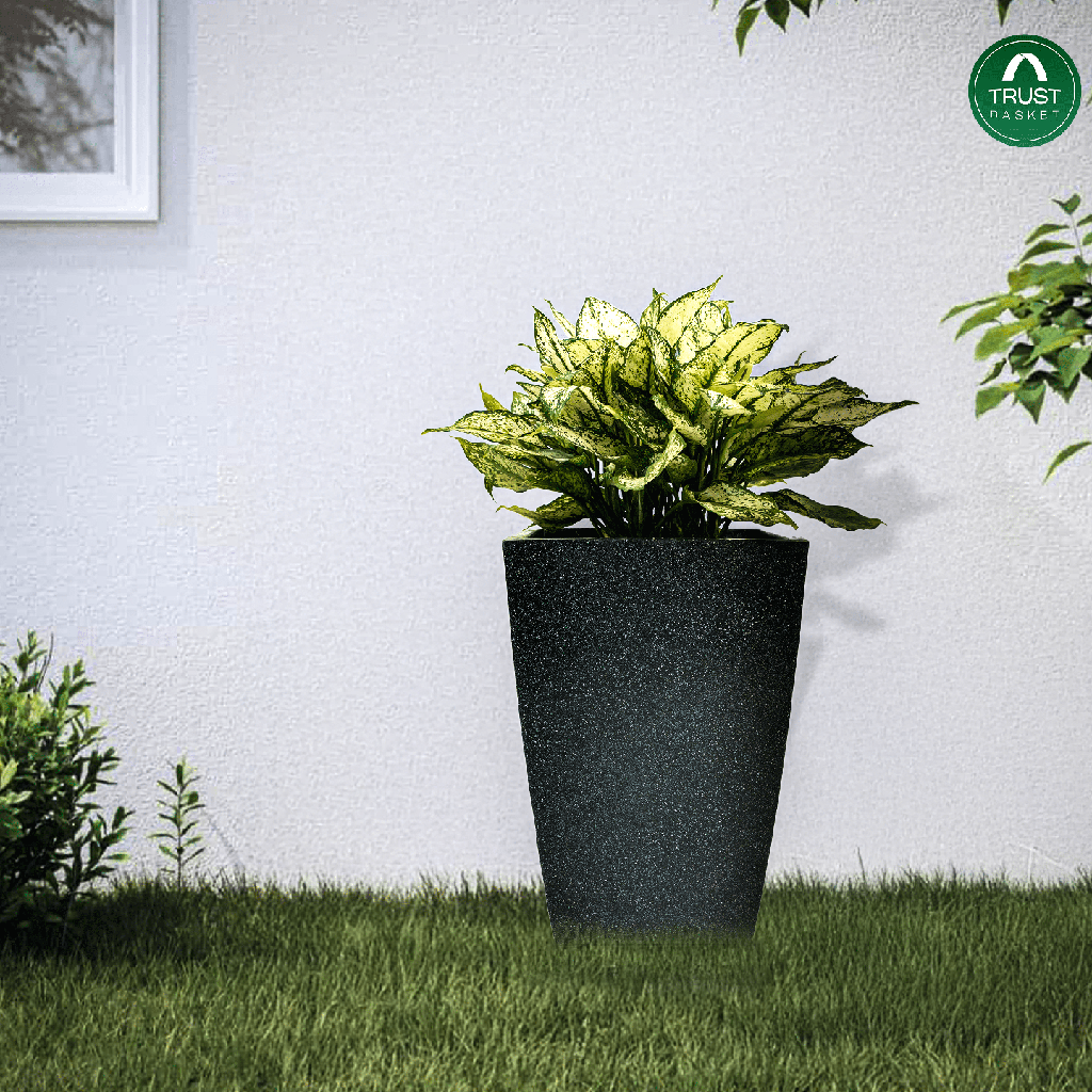 4_a4f27954-b493-42d7-a852-4ca47cf5a0fd.png