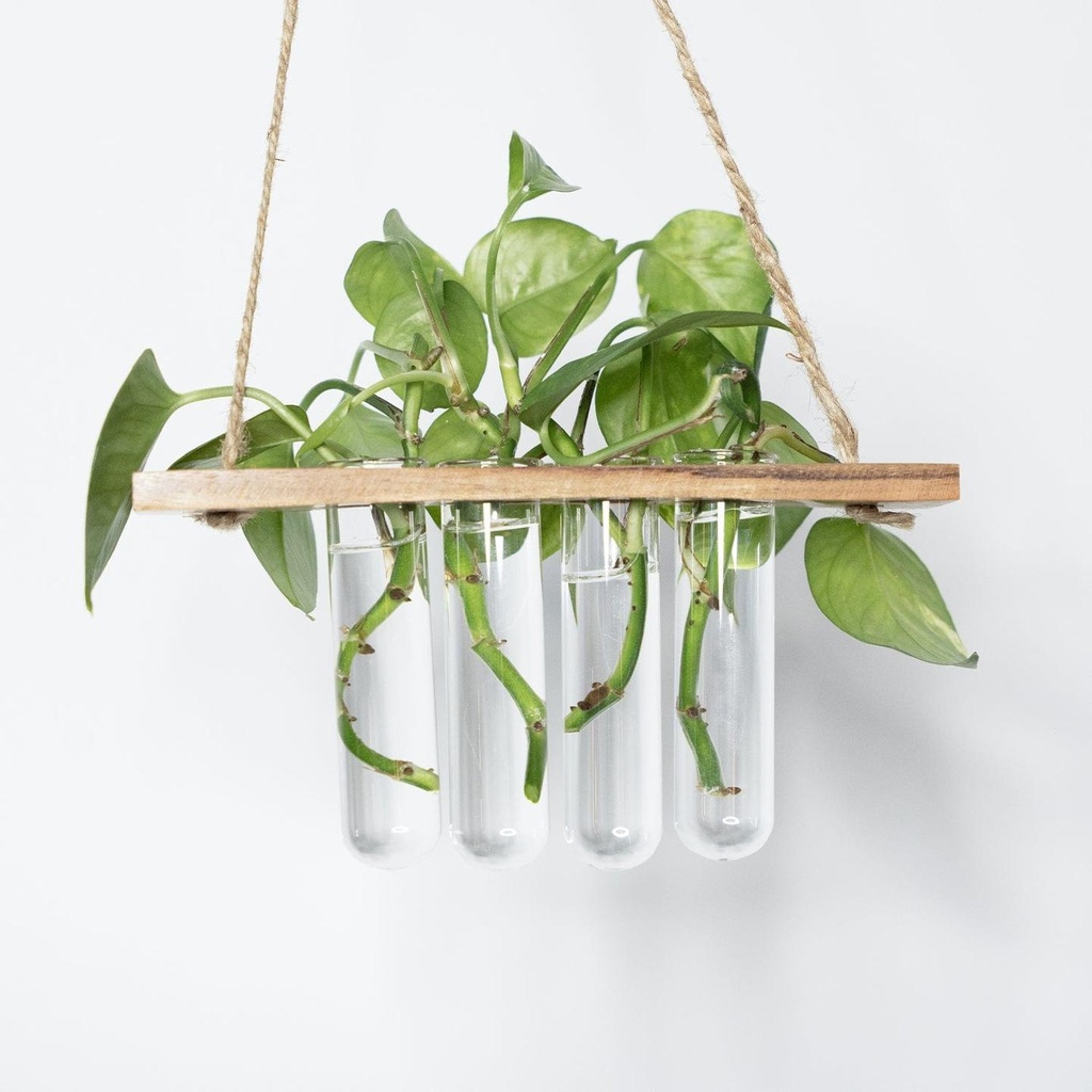 TestTube-2copy.jpg