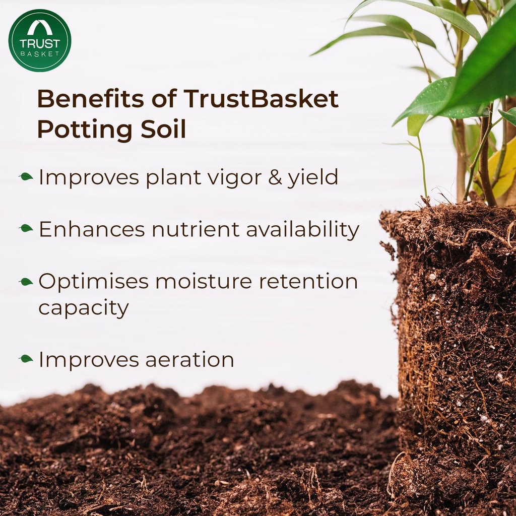 Benefits_e45cf686-5f87-46d8-ac3a-ab994a9a70df.jpg