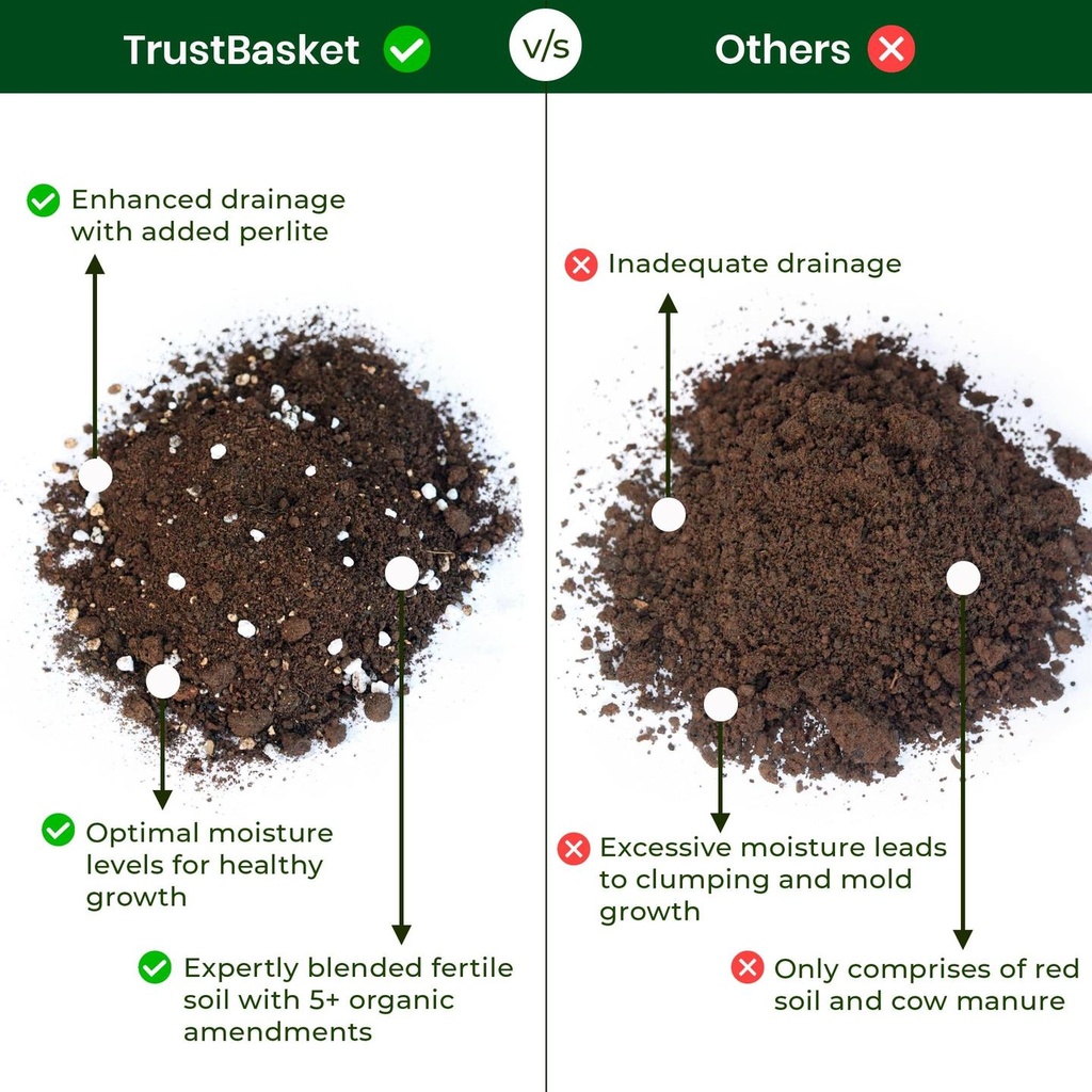 PottingSoilComparison_9dedd613-fe96-401d-939c-898646fd20a0.jpg