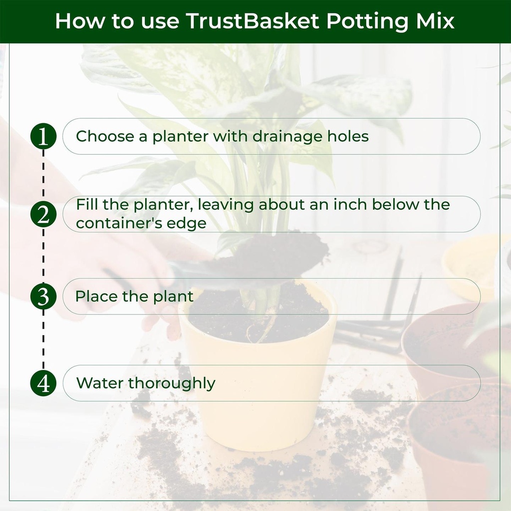 HowtoUsePottingSoil_0a94cbce-9081-41e5-afe1-2a056c52a58b.jpg