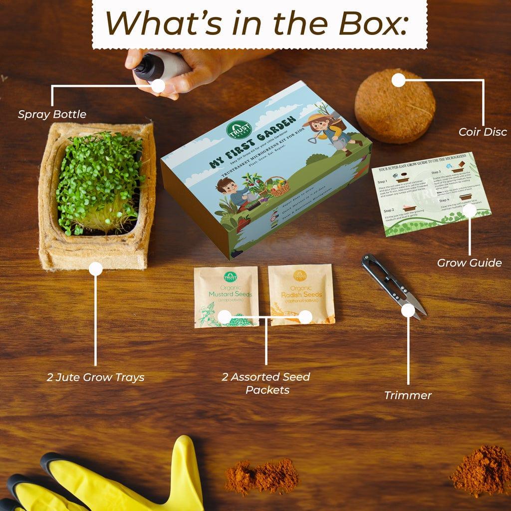 box.jpg