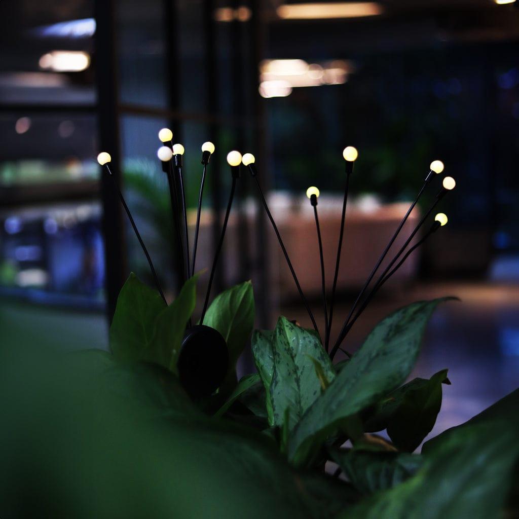 Lifestyle-1_8d09159e-3e66-44f8-8b13-62f0fbc54c44.jpg