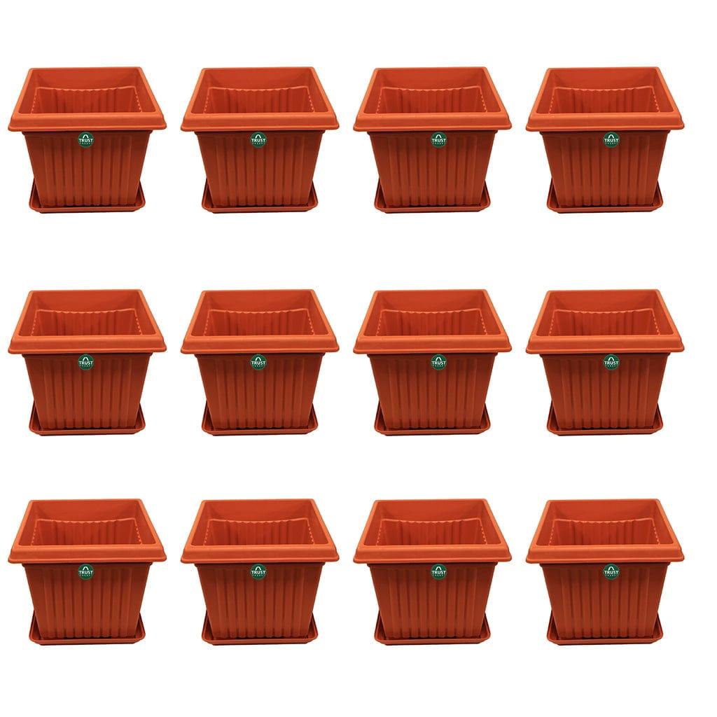 CopyofSetof12.jpg