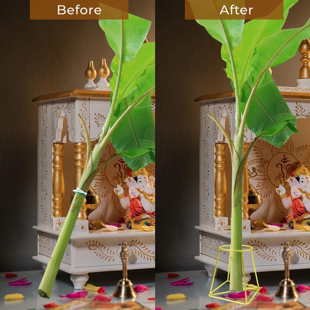 Before-after.jpg