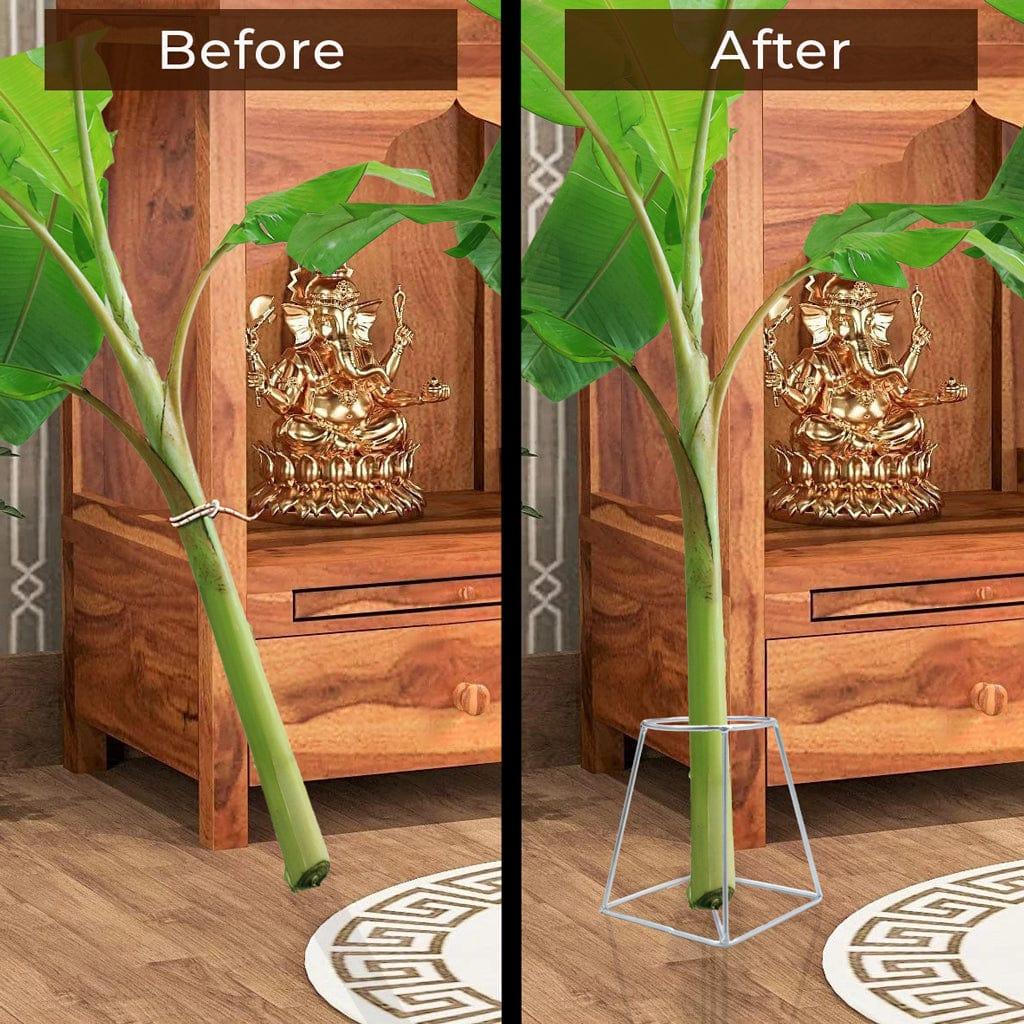 Before-after_ad9c5ec1-2770-4597-8534-533f77010b26.jpg