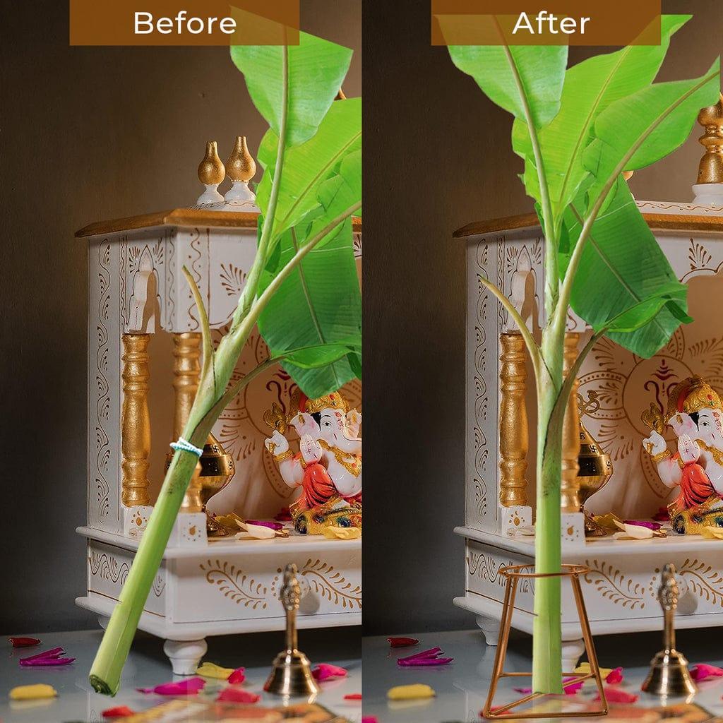 Before-after_0452e007-9c44-477a-b0c3-3a62a35413a0.jpg