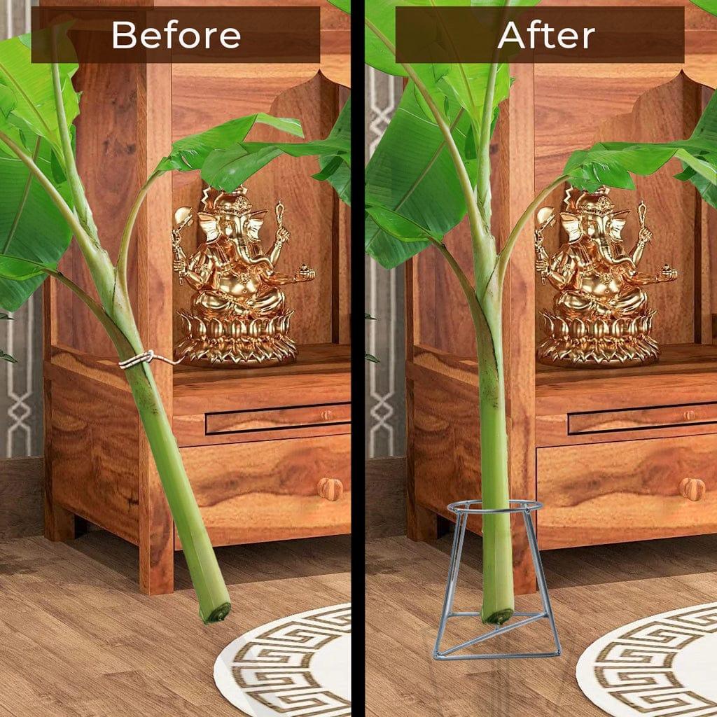 Before-after_5ddb2faa-920d-4220-96db-02e647e31348.jpg