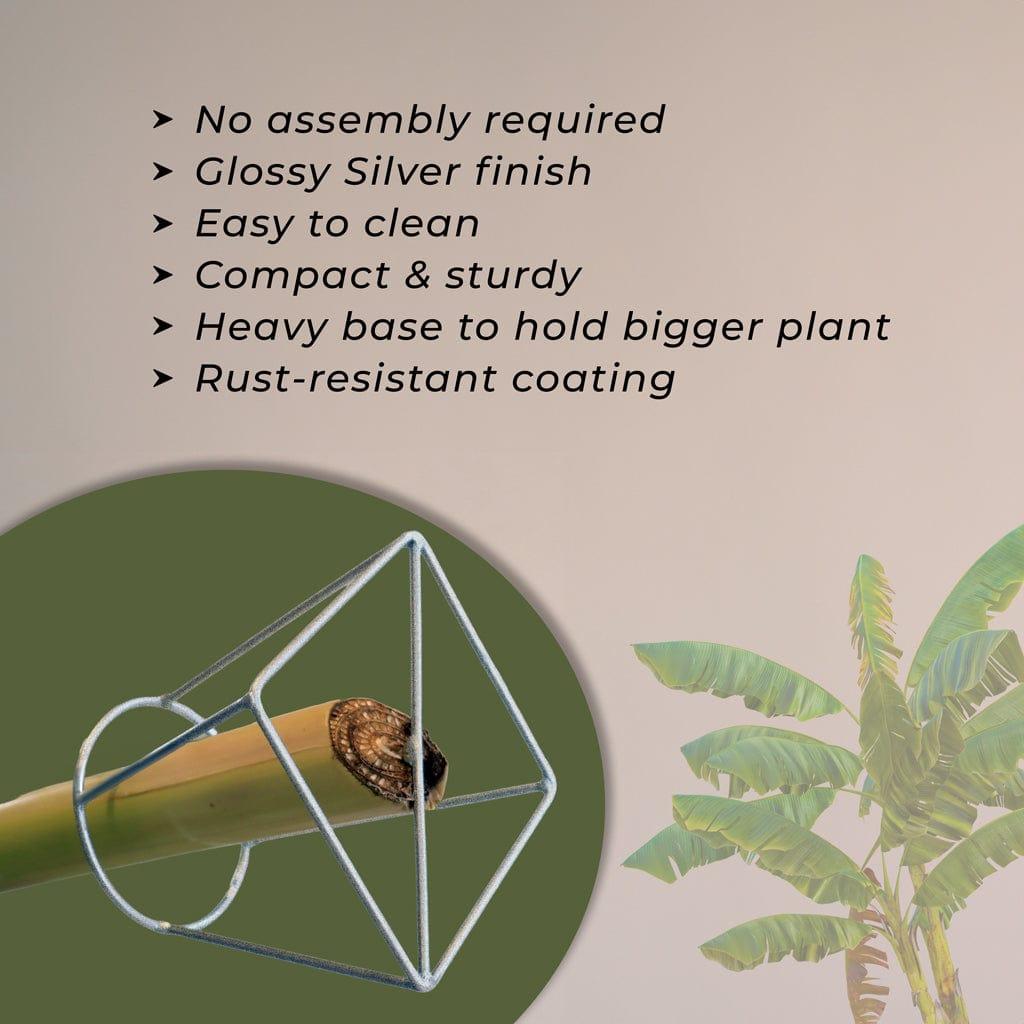 Usp_5da2e3ce-2e3d-49ce-99cb-b0337c98e3e1.jpg