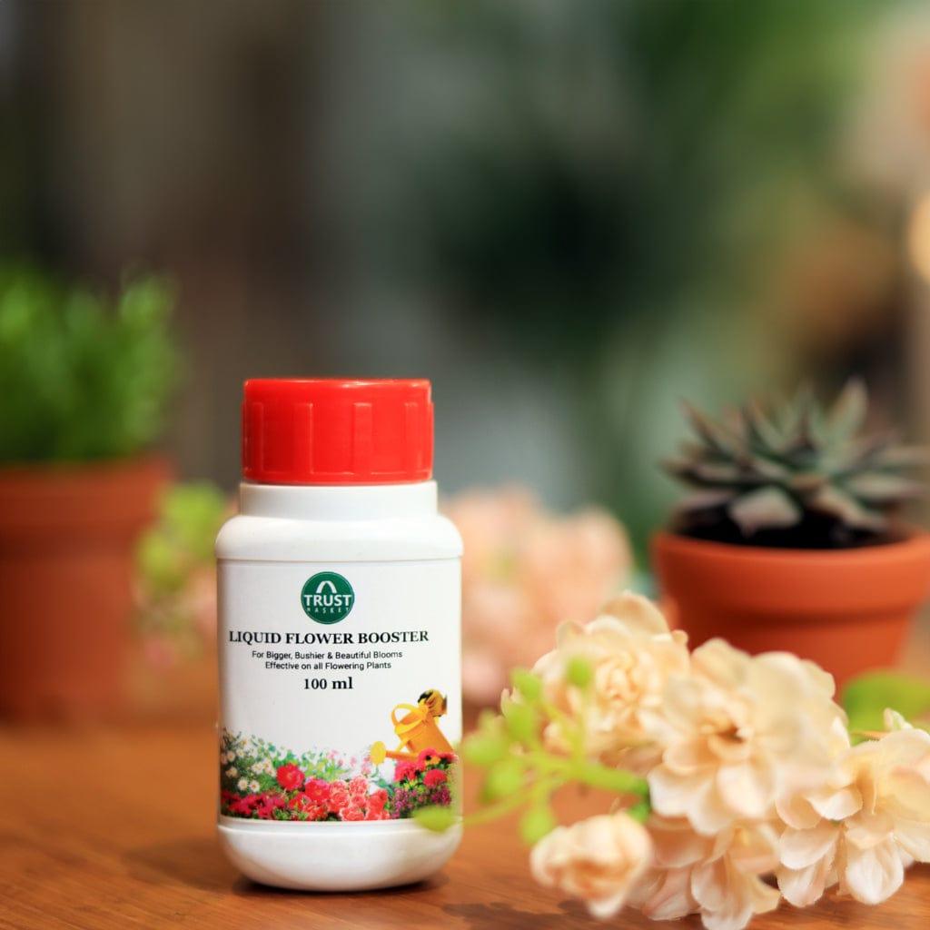 Lifestyleimage2.jpg