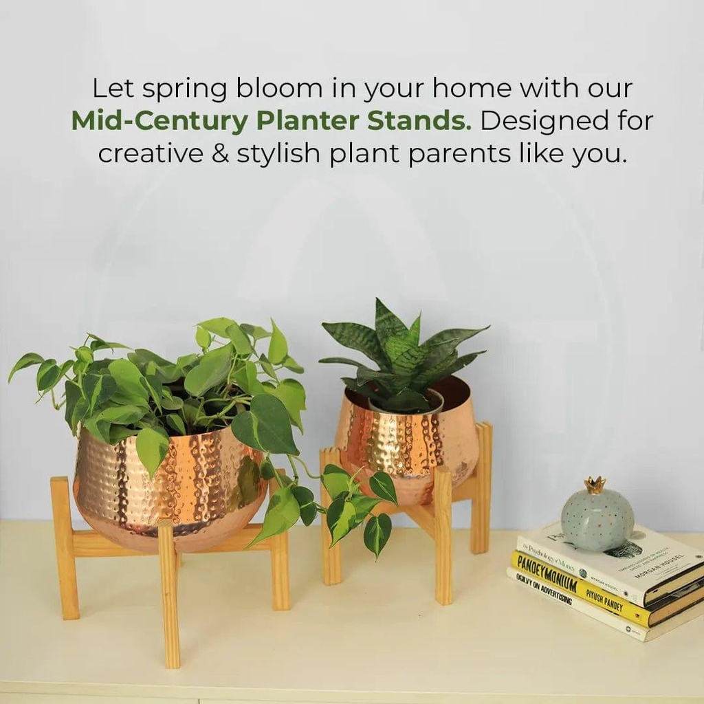 Image03_decalmidcenturystandwithpot_Copy_whtie.jpg
