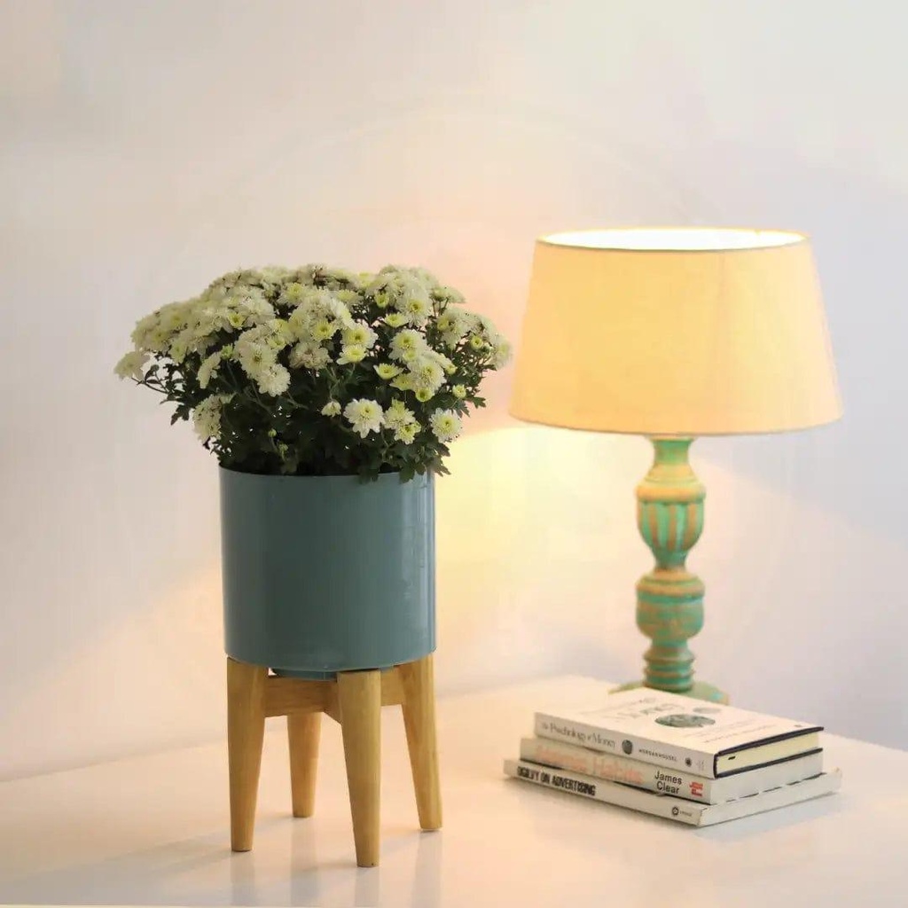 Image02_Coralmidcenturystandwithpot_liveimage_4.jpg