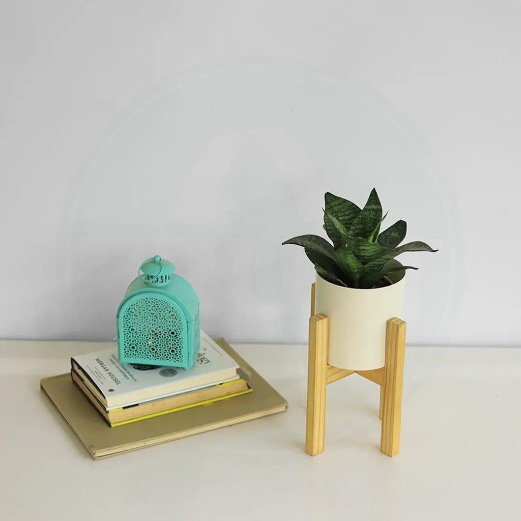 Image02_Glaremidcenturystandwithpot_Liveimage_3_white.jpg