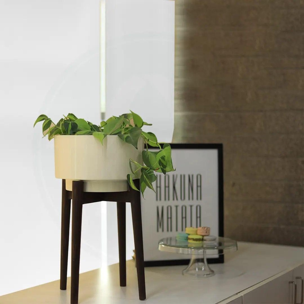 02_a__CostaMidCenturywoodenstandwithpot_Live_image_3_white.jpg
