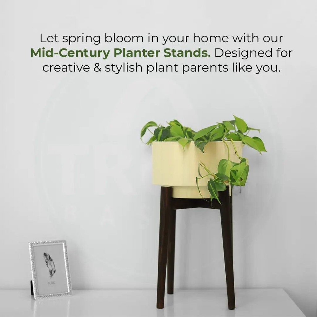 02_CostaMidCenturywoodenstandwithpot_copy_white.jpg