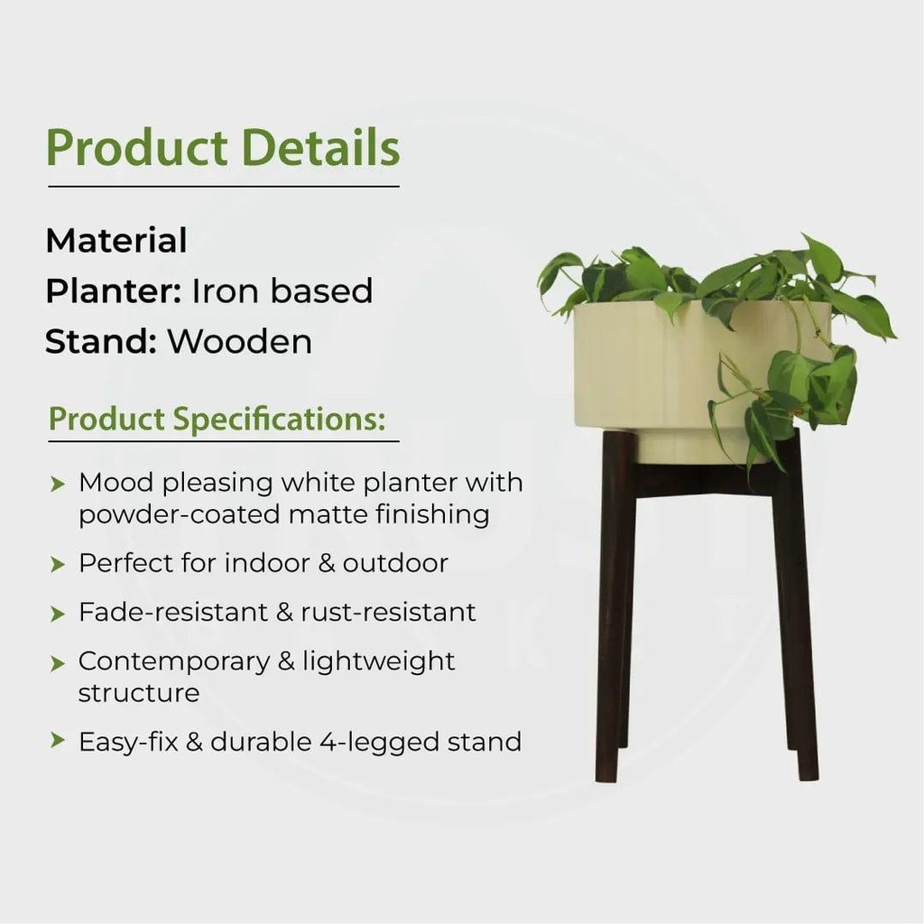 05_CostaMidCenturywoodenstandwithpot_Specificationimage.jpg