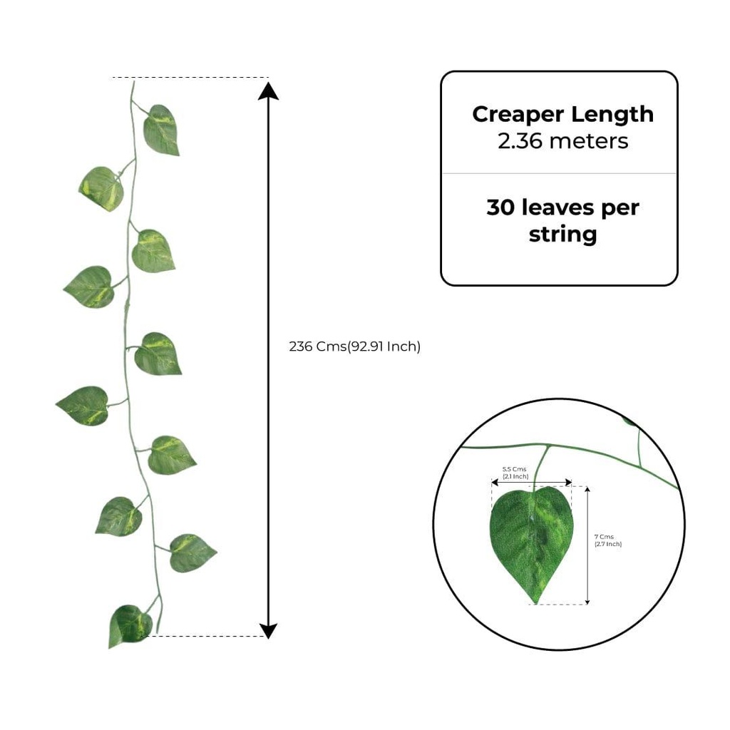 creaper-dimensions.jpg