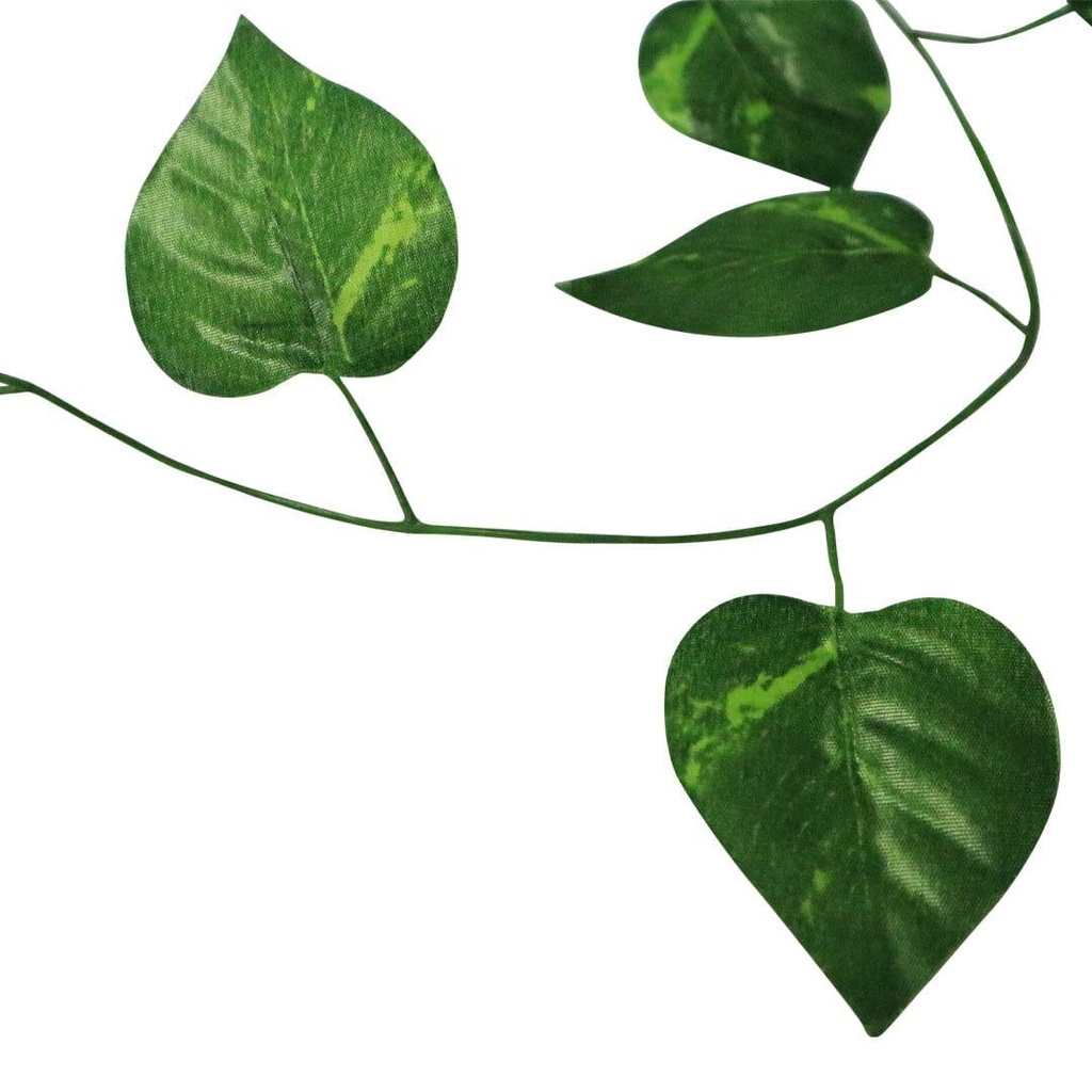 Primaryimage_6.jpg