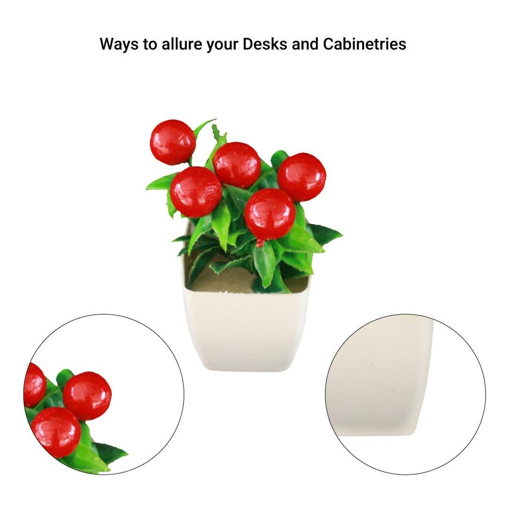 cherry-shrub_Other-details.jpg