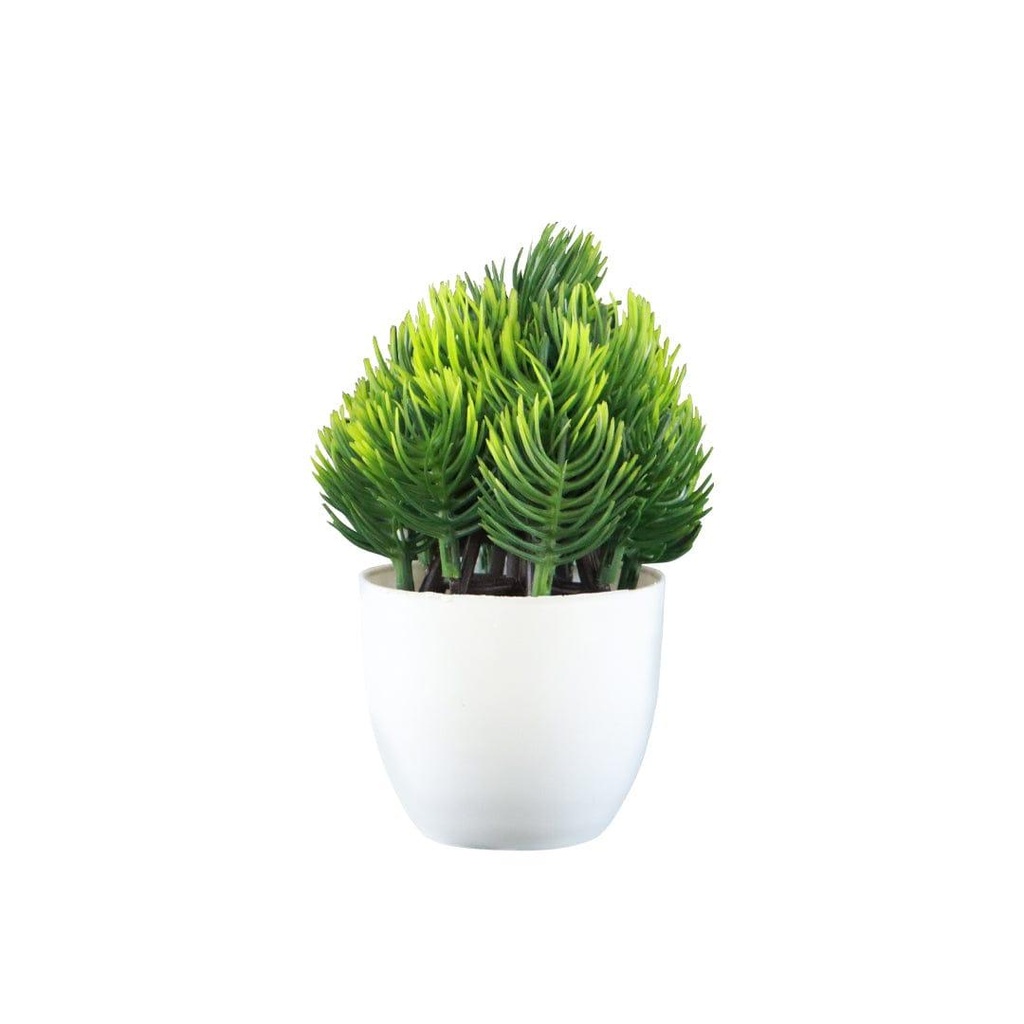 11_greengrassshrub.jpg