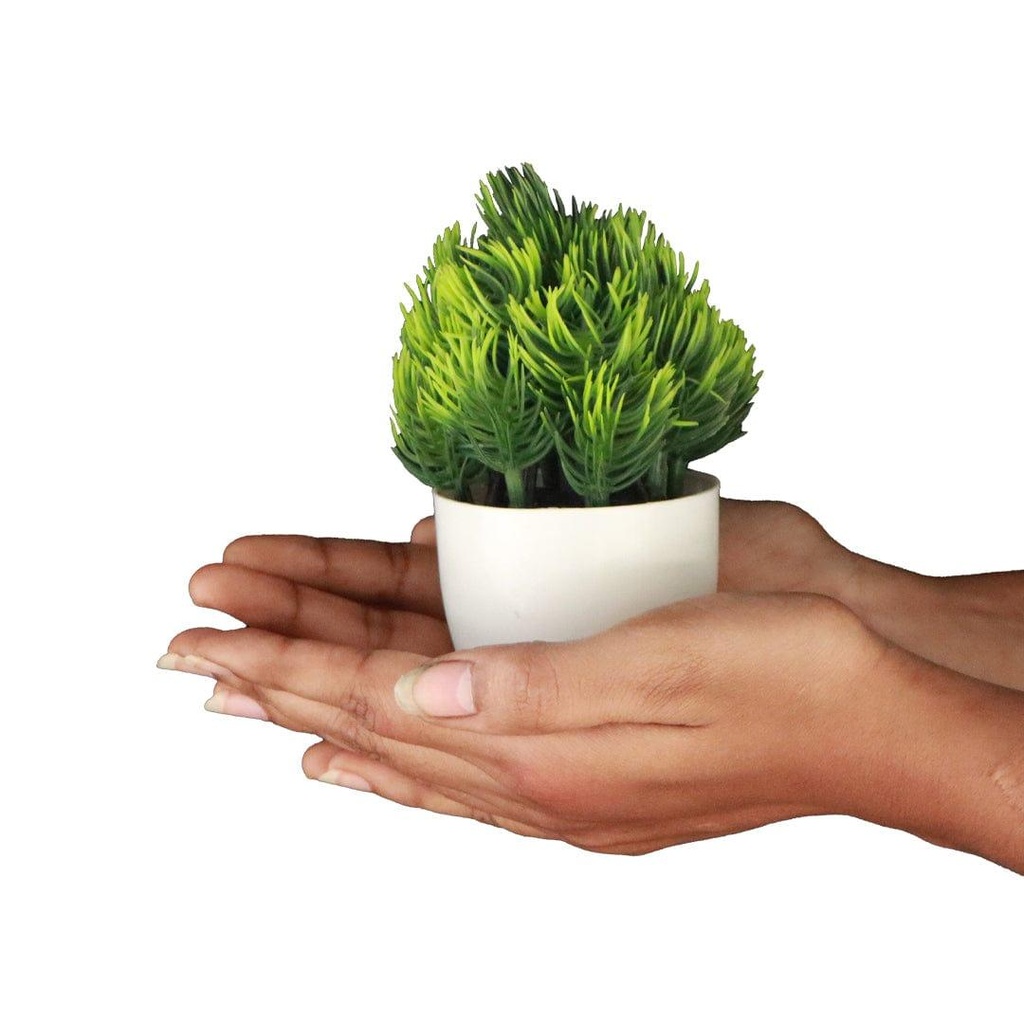 11_greengrassshrub_primaryimage_2.jpg