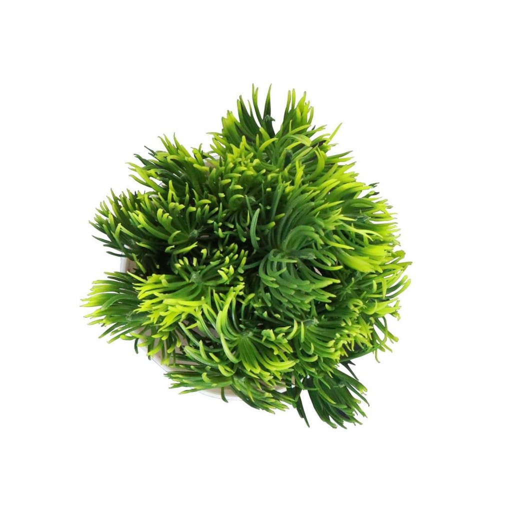 11_greengrassshrub_primaryimage_3.jpg