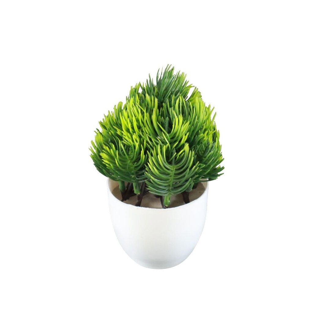 11_greengrassshrub_1.jpg