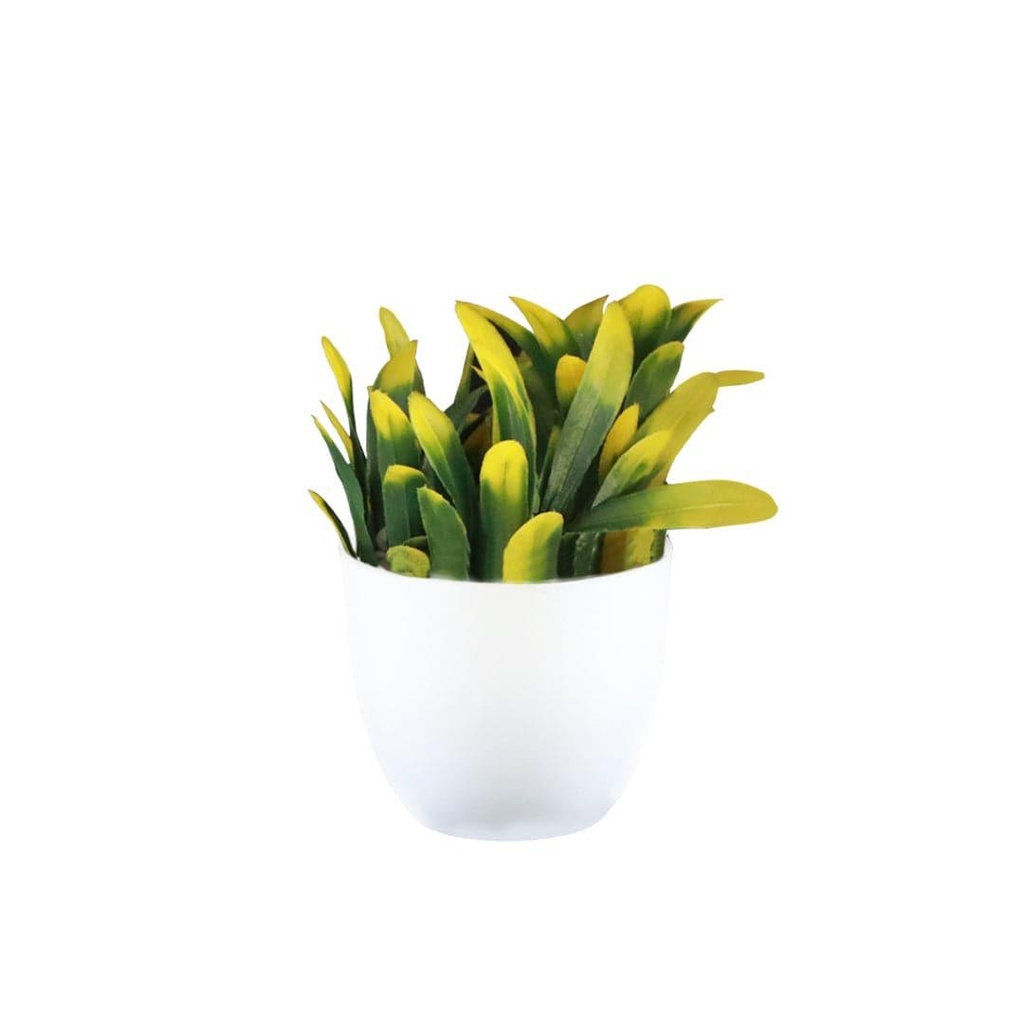 12_bellminishrub_primaryimage.jpg