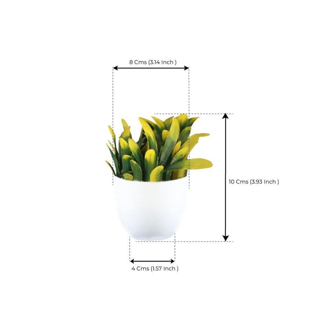 12_bell-mini-shrub_Dimensions.jpg