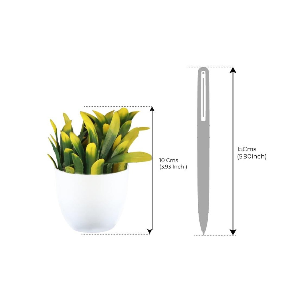 12_bell-mini-shrub_Dimensions_02.jpg