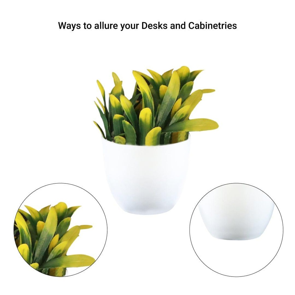 12_bell-mini-shrub_Other-details.jpg