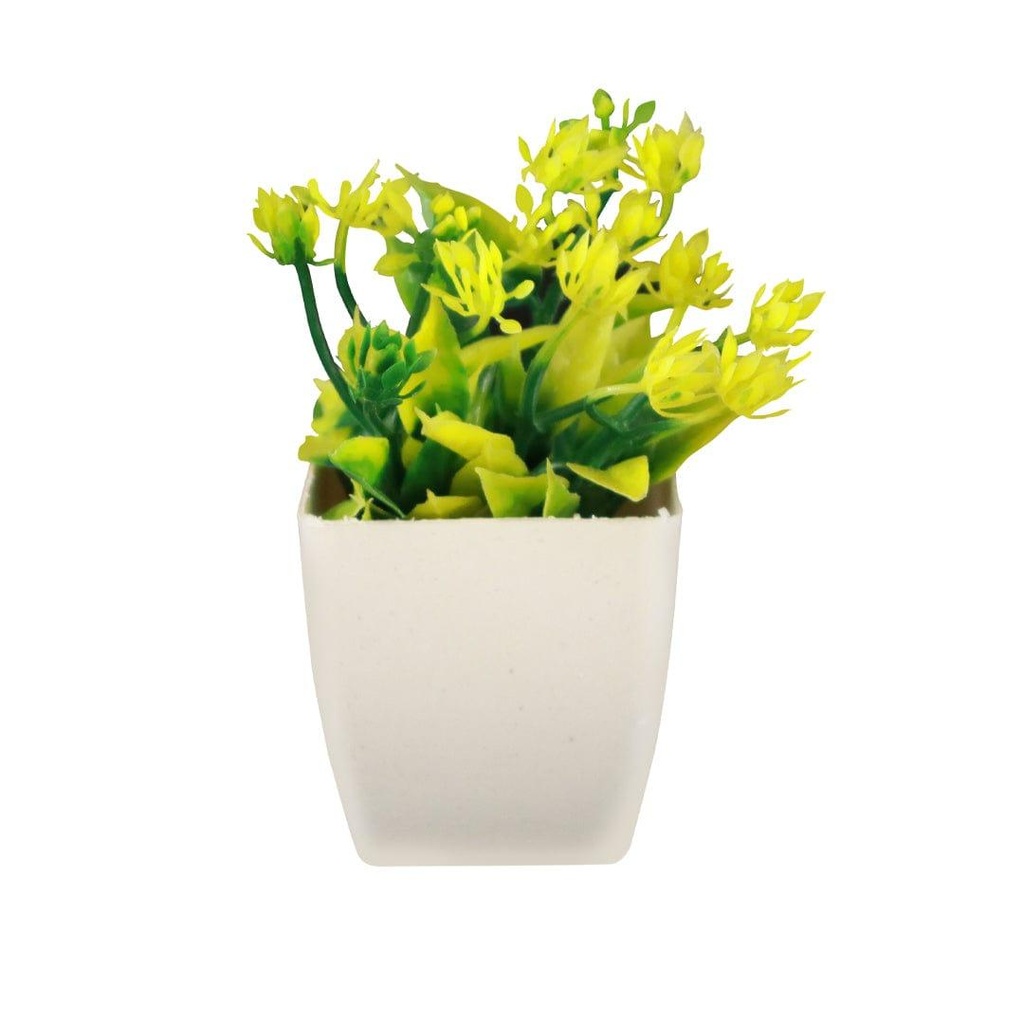neamshrub_primaryimage_01.jpg