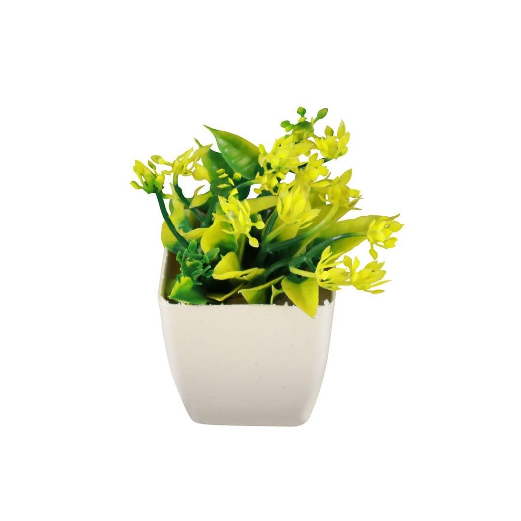 neamshrub_primaryimage_02.jpg