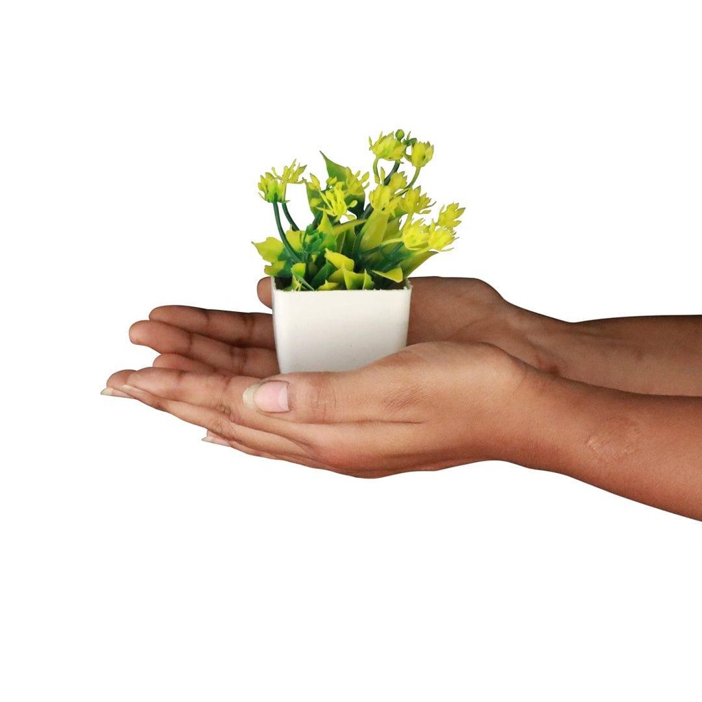 neamshrub_primaryimage_04.jpg