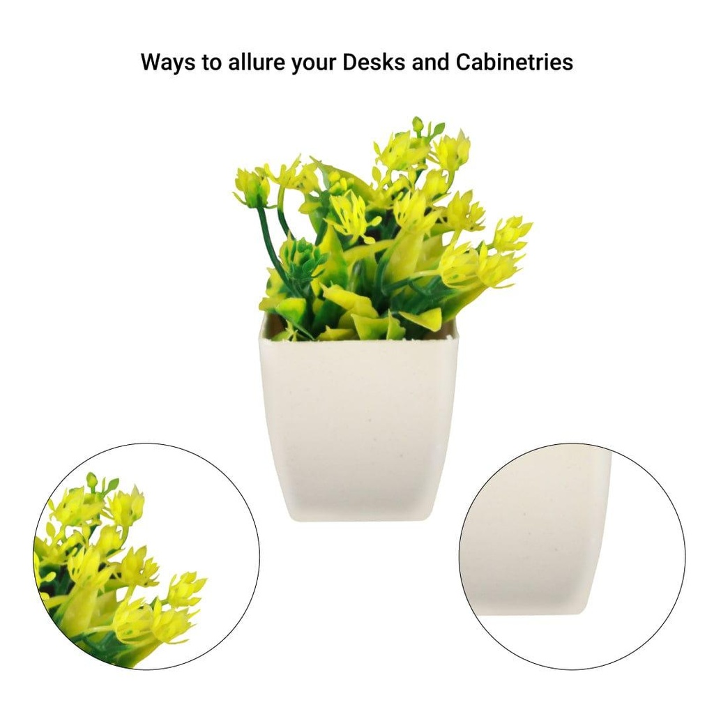 Neam-shrub_details-image.jpg