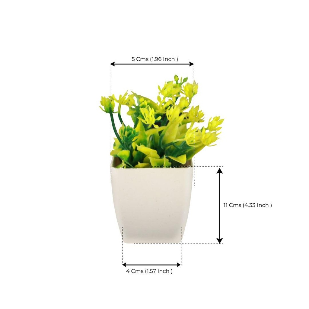 Neam-shrub_dimension-image.jpg