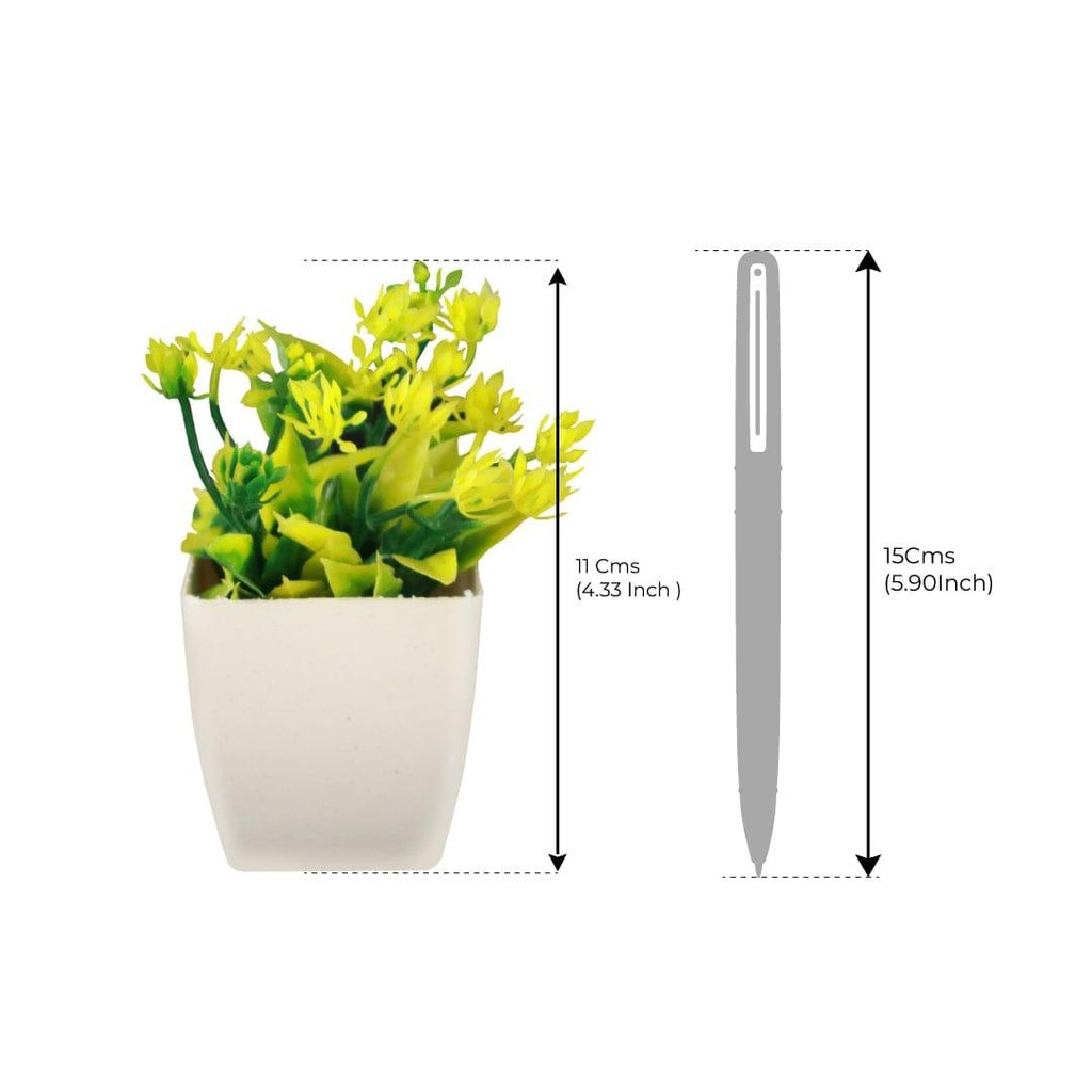 Neam-shrub_dimension-image_02.jpg