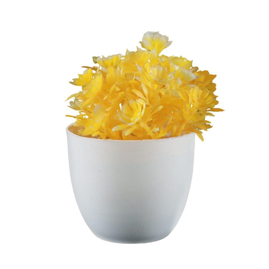 pineshrubyellow_primaryimage_01.jpg