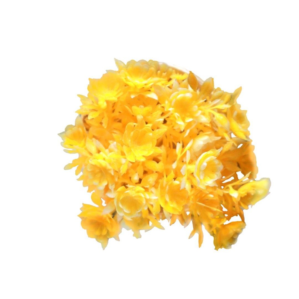 pineshrubyellow_primaryimage_03.jpg