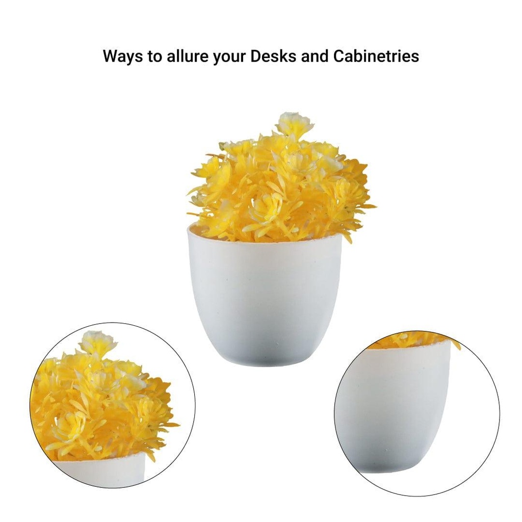 Pine-shrub-yellow_details-image.jpg