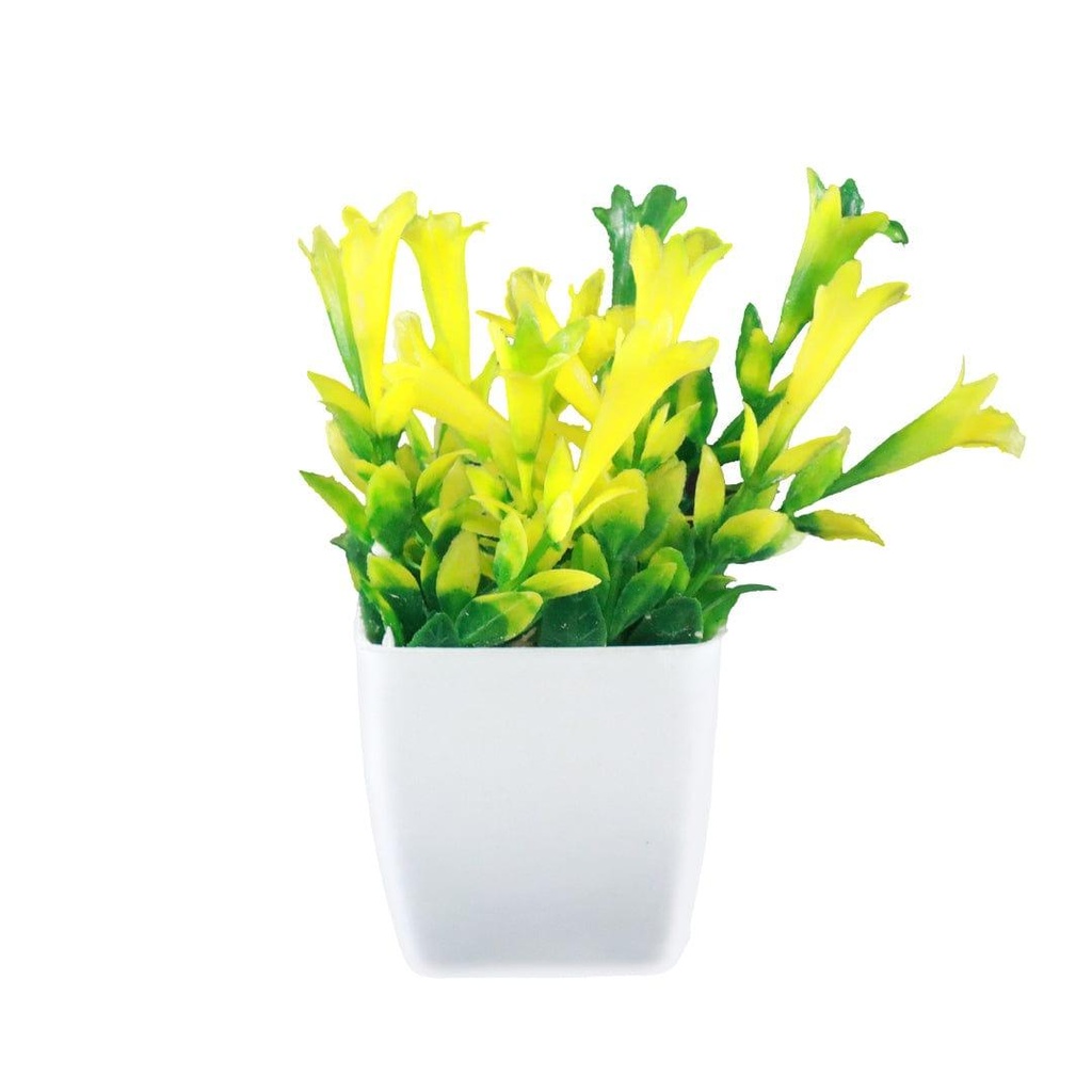 Bunchshrub_primaryimage.jpg