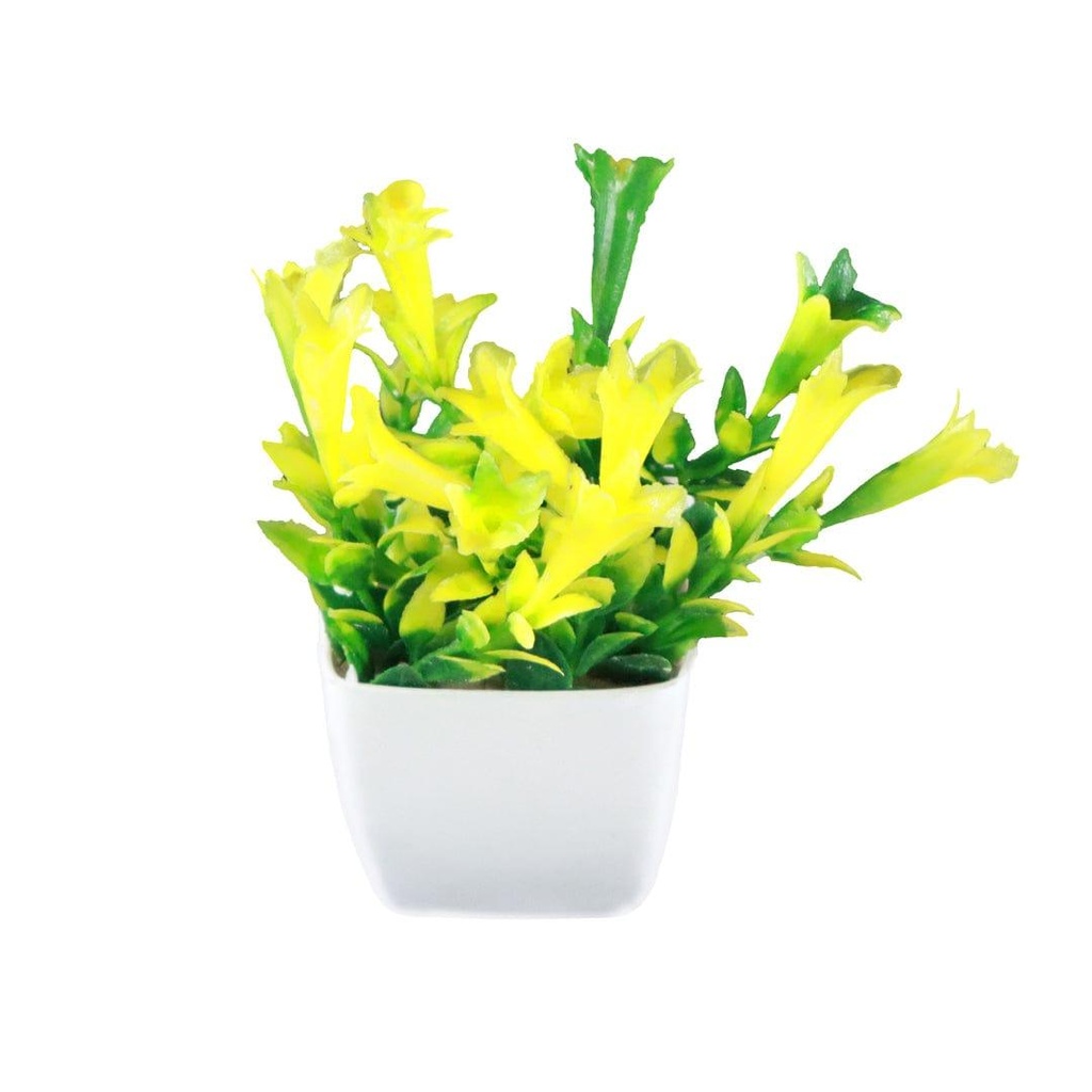 Bunchshrub_primaryimage_2.jpg