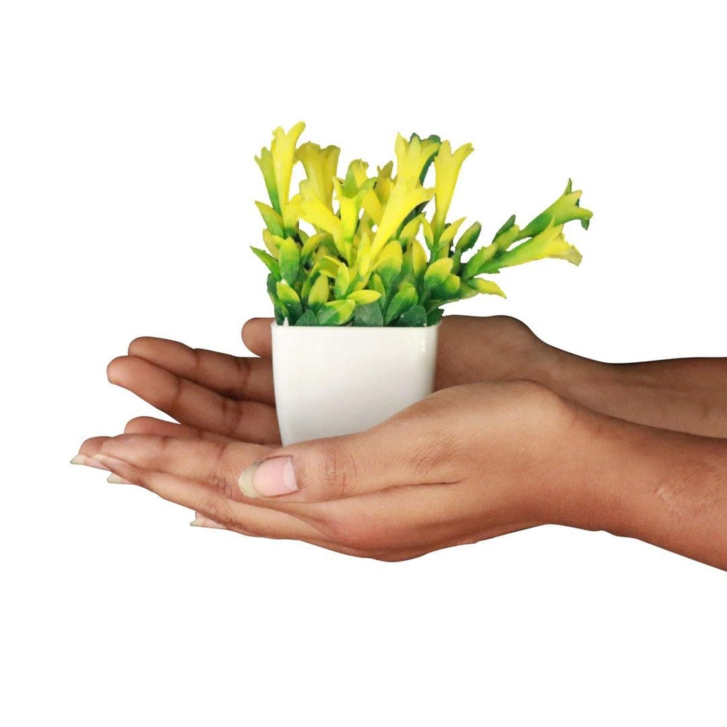 Bunchshrub_primaryimage_3.jpg