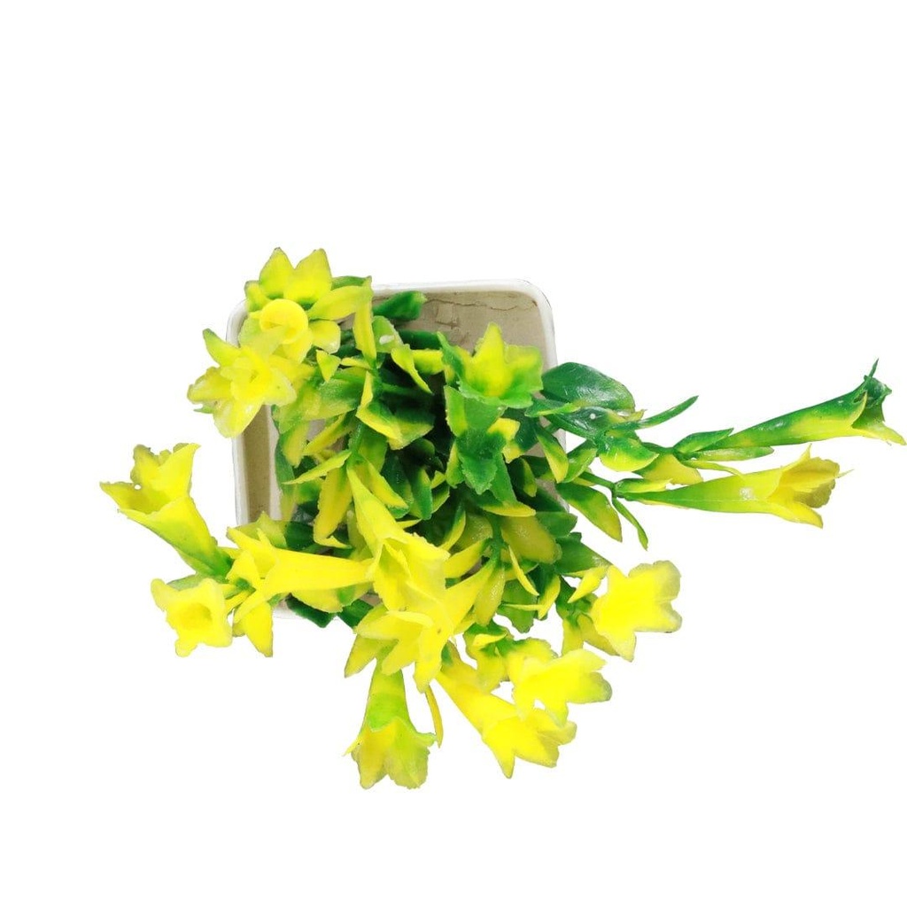 Bunchshrub_primaryimage_4.jpg