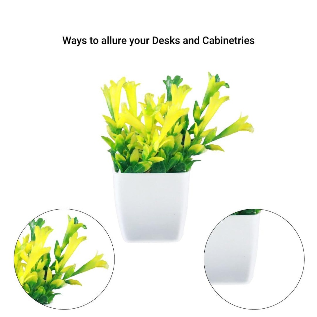 bunch-shrub_Details-image.jpg