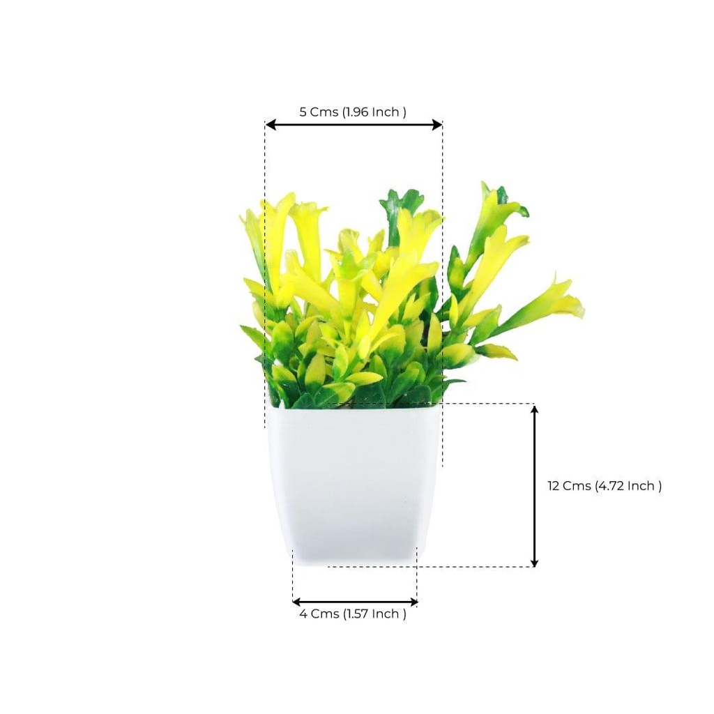 bunch-shrub_dimension_01.jpg