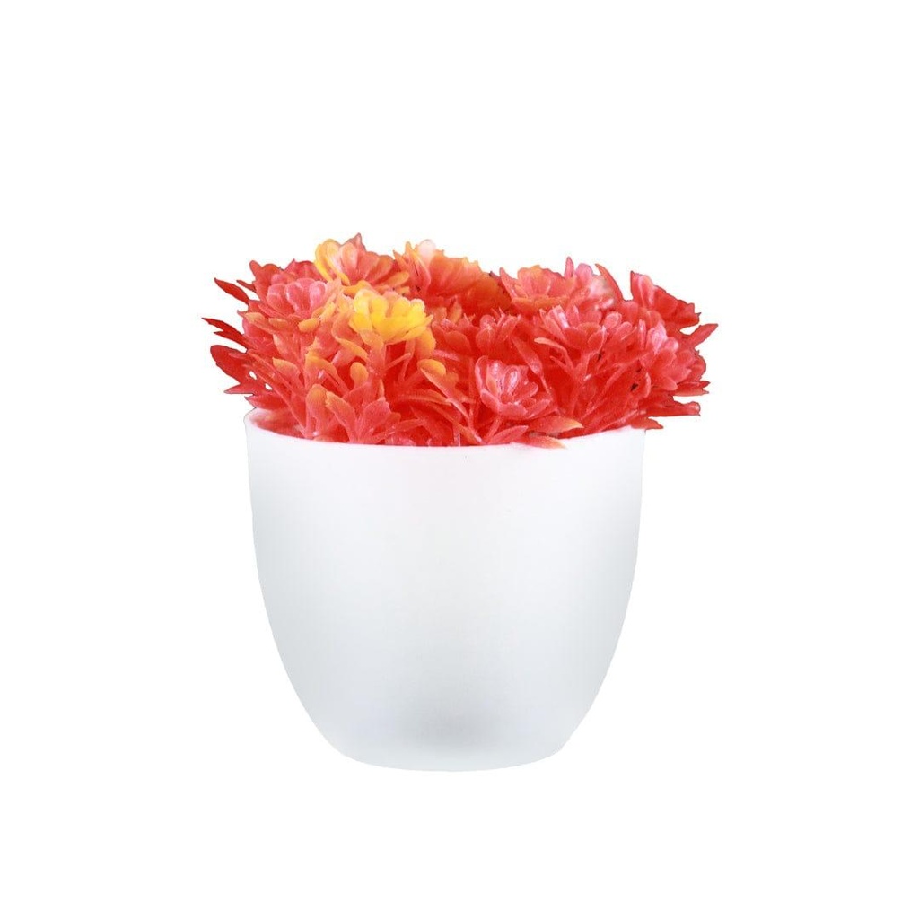 RedMiniShrub_primaryimage_01.jpg