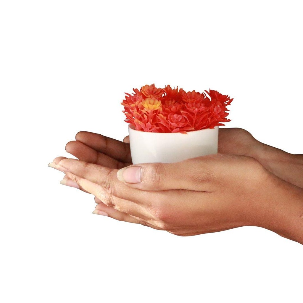 RedMiniShrub_primaryimage_03.jpg