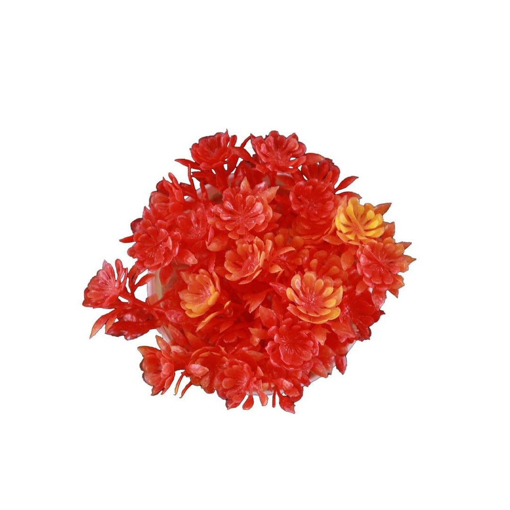 RedMiniShrub_primaryimage_04.jpg