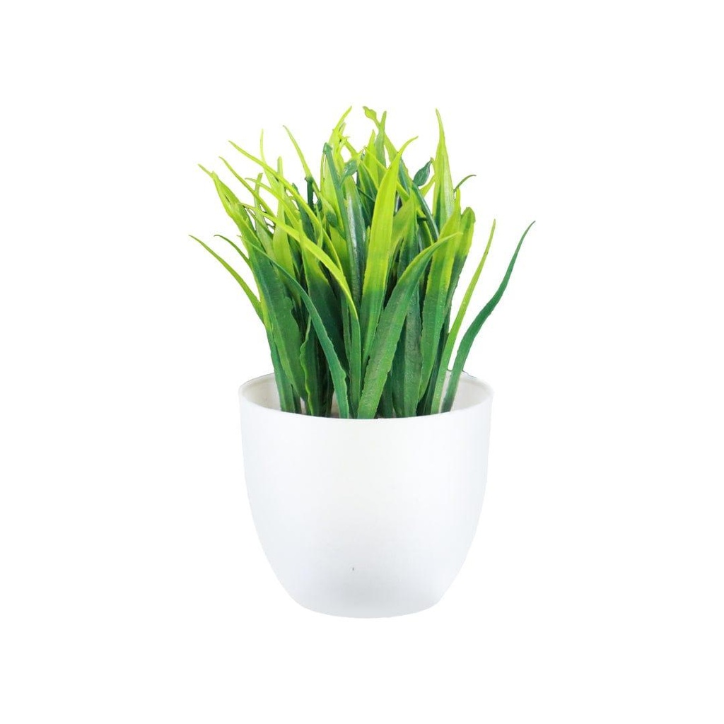 MiniWildshrub_primaryimage_1.jpg